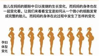 孕妇的妊娠期为几周(妊娠期有多长)
