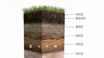 土壤的三大类是什么(土壤分为哪三种类型)