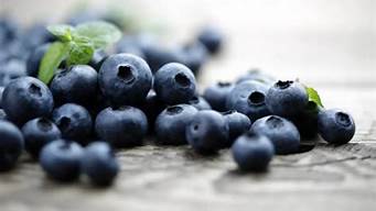 蓝莓的花青素是在皮里还是果肉里「蓝莓里的花青素能被吸收吗」