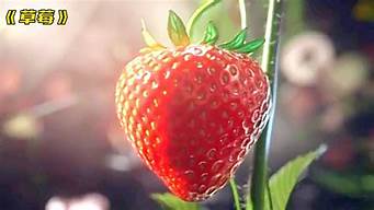 草莓是蚯蚓变得么(草莓是吃蚯蚓长大的吗)