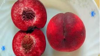 血桃没熟果肉是不是白的「血桃和普通桃子有什么区别」