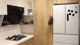 冰箱放在厨房可以吗(冰箱可以放厨房吗?)