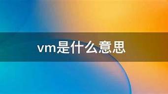 vm是什么意思啊(VMI的含义是什么)