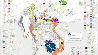 彝族思维和语言泰国语言有什么不同