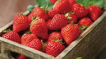 草莓能保鲜多久(草莓可以保鲜几天)